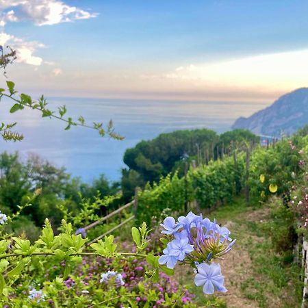 Villa Pietrafiore Monterosso al Mare Ngoại thất bức ảnh