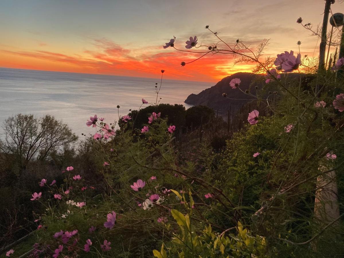 Villa Pietrafiore Monterosso al Mare Ngoại thất bức ảnh