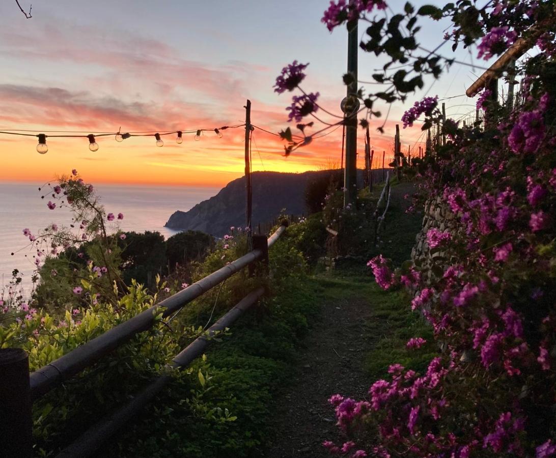 Villa Pietrafiore Monterosso al Mare Ngoại thất bức ảnh