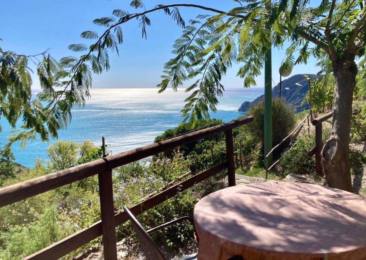 Villa Pietrafiore Monterosso al Mare Ngoại thất bức ảnh