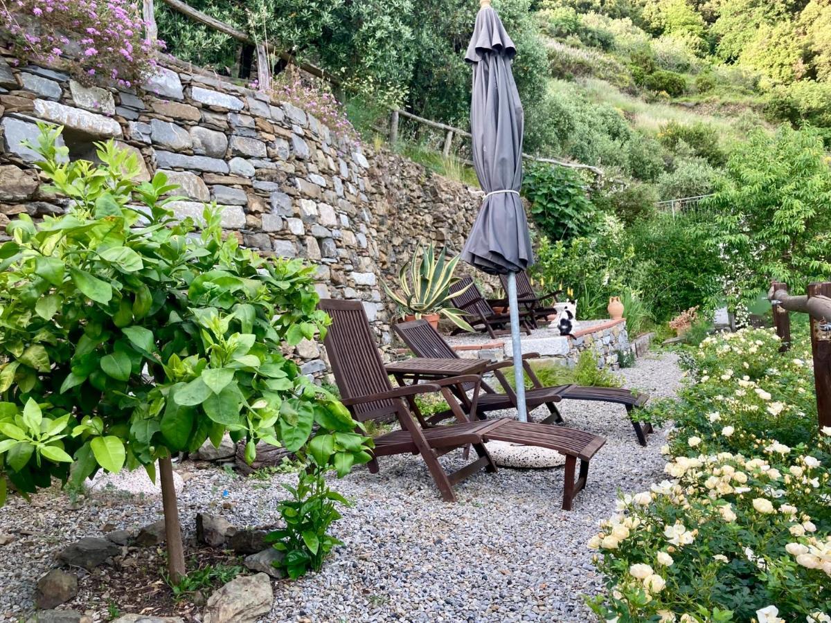 Villa Pietrafiore Monterosso al Mare Ngoại thất bức ảnh