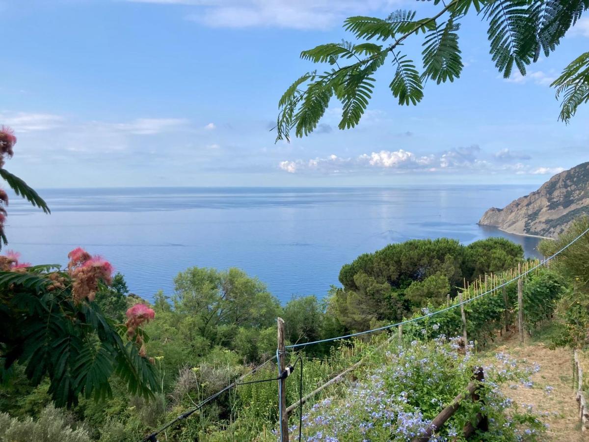 Villa Pietrafiore Monterosso al Mare Ngoại thất bức ảnh
