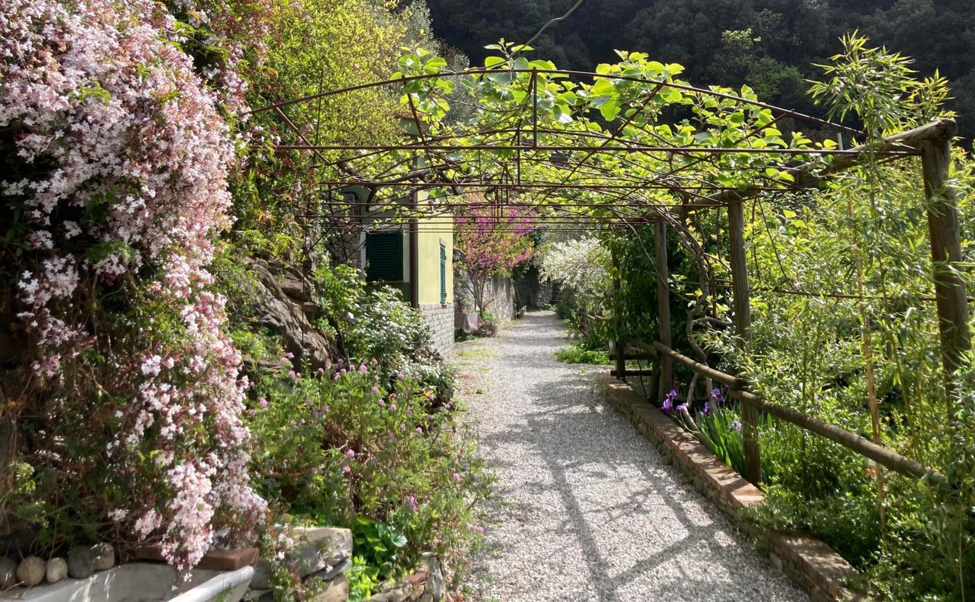Villa Pietrafiore Monterosso al Mare Ngoại thất bức ảnh