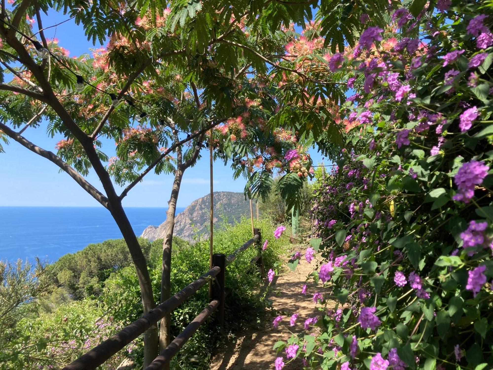 Villa Pietrafiore Monterosso al Mare Ngoại thất bức ảnh