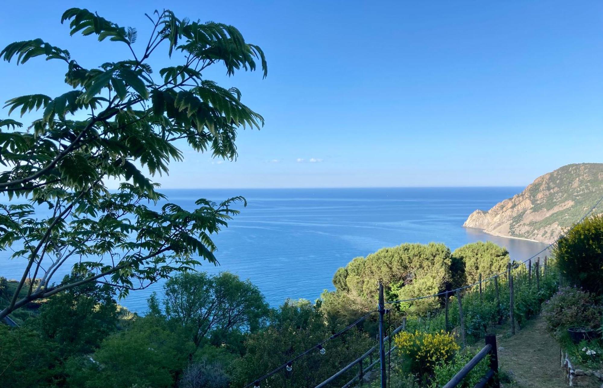 Villa Pietrafiore Monterosso al Mare Ngoại thất bức ảnh