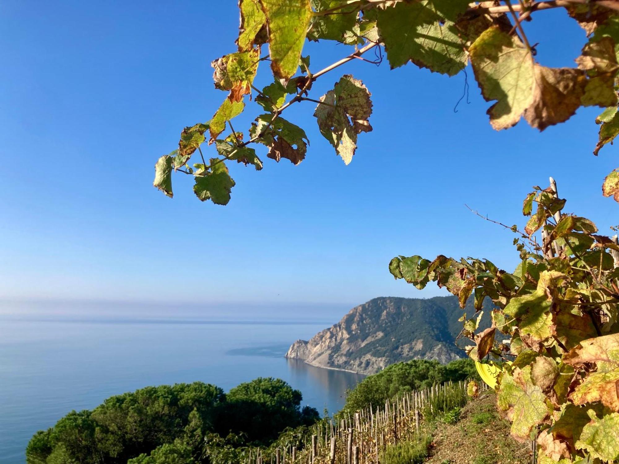 Villa Pietrafiore Monterosso al Mare Ngoại thất bức ảnh